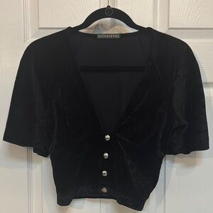 Black Velvet Deep V Button-Up Top - Alexa Chung